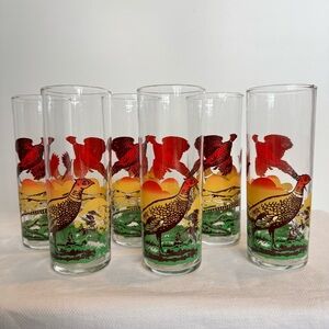 6 MCM Tom Collins Tumblers Tall Drinking Glasses Pheasant Hunting Scene